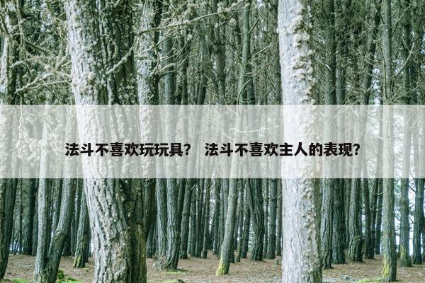 法斗不喜欢玩玩具？ 法斗不喜欢主人的表现？