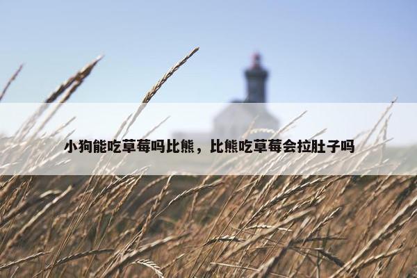 小狗能吃草莓吗比熊，比熊吃草莓会拉肚子吗