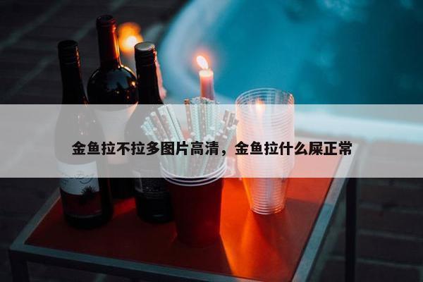 金鱼拉不拉多图片高清，金鱼拉什么屎正常