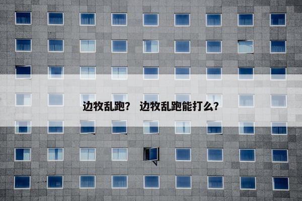 边牧乱跑？ 边牧乱跑能打么？