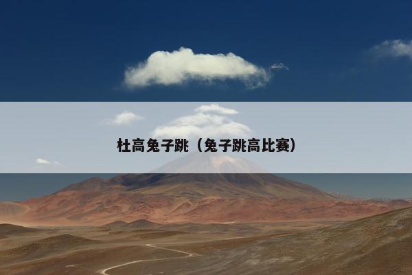 杜高兔子跳（兔子跳高比赛）