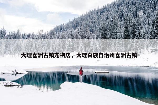 大理喜洲古镇宠物店，大理白族自治州喜洲古镇