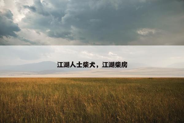 江湖人士柴犬，江湖柴房