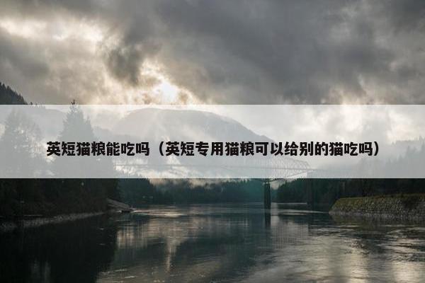 英短猫粮能吃吗（英短专用猫粮可以给别的猫吃吗）