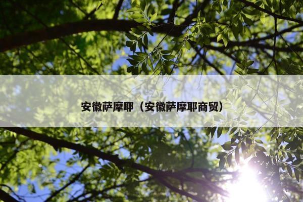 安徽萨摩耶（安徽萨摩耶商贸）