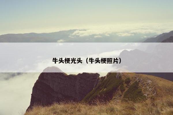 牛头梗光头（牛头梗照片）