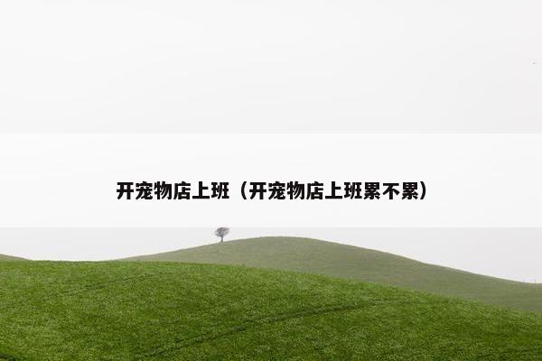 开宠物店上班（开宠物店上班累不累）