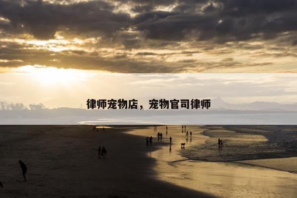 律师宠物店，宠物官司律师