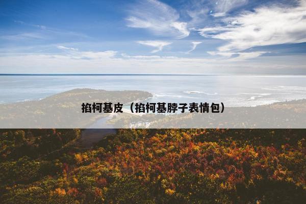 掐柯基皮（掐柯基脖子表情包）