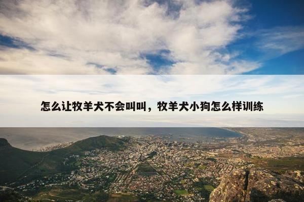 怎么让牧羊犬不会叫叫，牧羊犬小狗怎么样训练