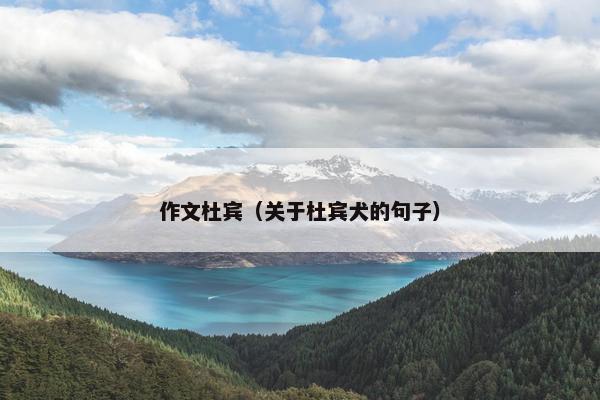 作文杜宾（关于杜宾犬的句子）