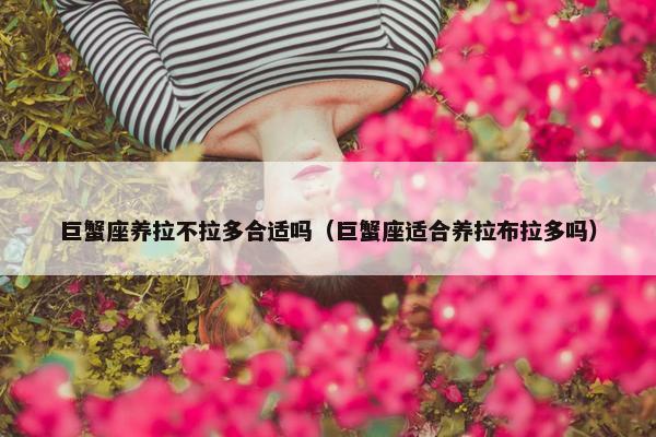 巨蟹座养拉不拉多合适吗（巨蟹座适合养拉布拉多吗）