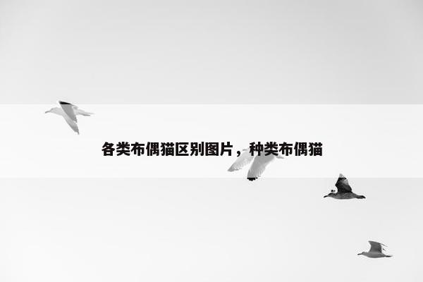 各类布偶猫区别图片，种类布偶猫
