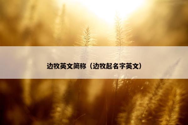 边牧英文简称（边牧起名字英文）