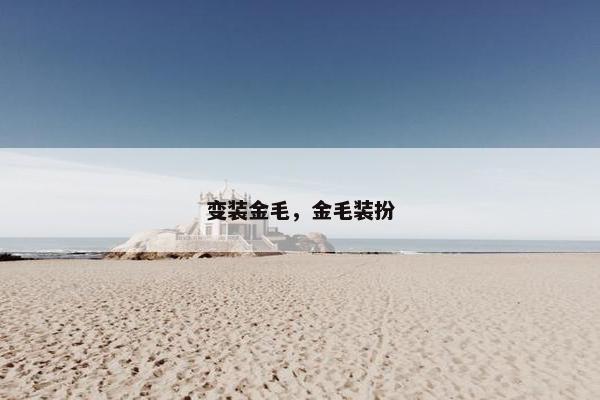 变装金毛，金毛装扮