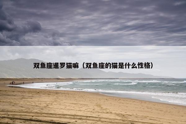 双鱼座暹罗猫嘛（双鱼座的猫是什么性格）