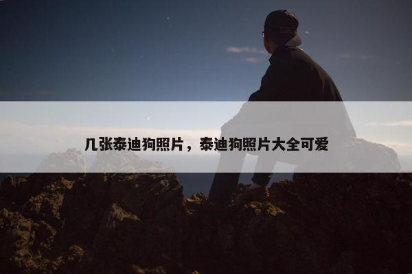 几张泰迪狗照片，泰迪狗照片大全可爱