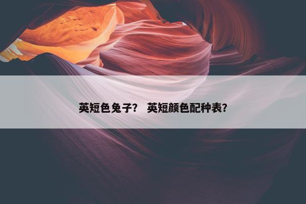英短色兔子？ 英短颜色配种表？