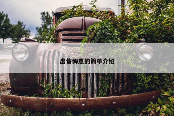 出售博崽的简单介绍