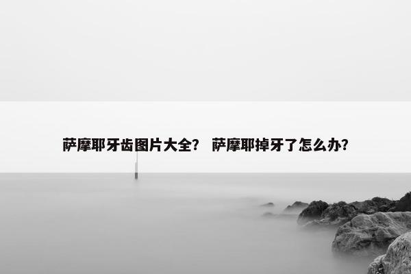 萨摩耶牙齿图片大全？ 萨摩耶掉牙了怎么办？