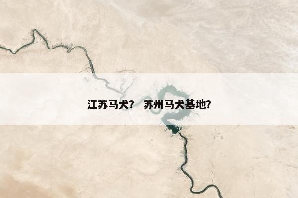 江苏马犬？ 苏州马犬基地？