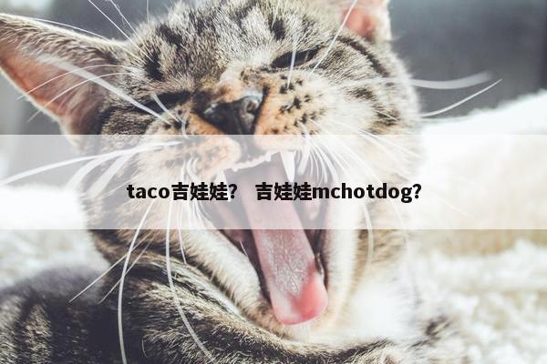 taco吉娃娃？ 吉娃娃mchotdog？