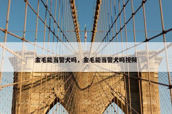 金毛能当警犬吗，金毛能当警犬吗视频