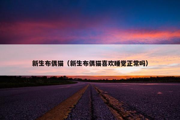 新生布偶猫（新生布偶猫喜欢睡觉正常吗）