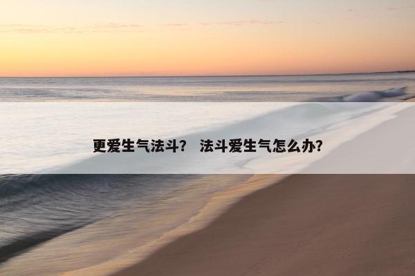 更爱生气法斗？ 法斗爱生气怎么办？