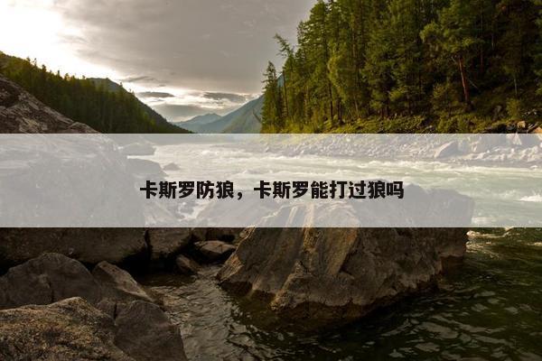 卡斯罗防狼，卡斯罗能打过狼吗