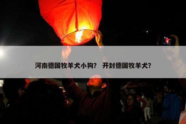 河南德国牧羊犬小狗？ 开封德国牧羊犬？