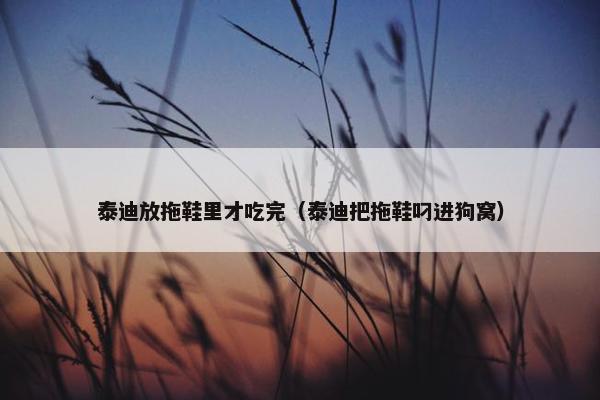 泰迪放拖鞋里才吃完（泰迪把拖鞋叼进狗窝）