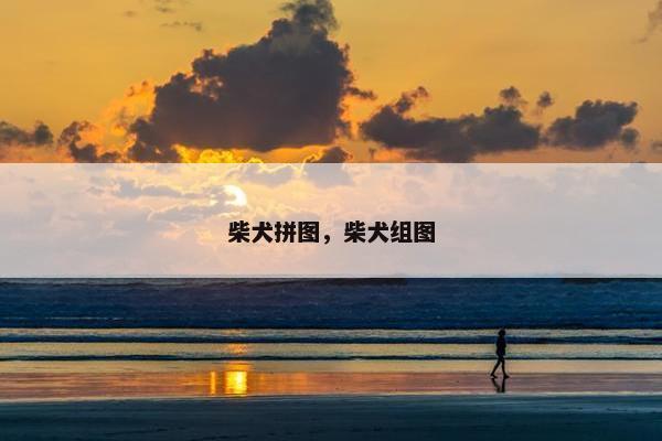 柴犬拼图，柴犬组图