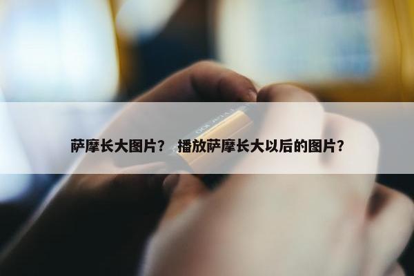 萨摩长大图片？ 播放萨摩长大以后的图片？