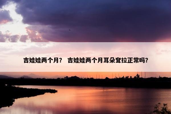 吉娃娃两个月？ 吉娃娃两个月耳朵耷拉正常吗？