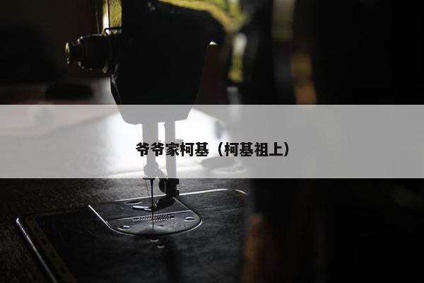 爷爷家柯基（柯基祖上）