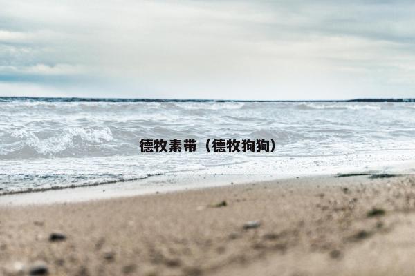 德牧素带（德牧狗狗）
