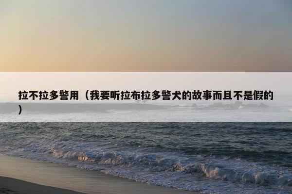 拉不拉多警用（我要听拉布拉多警犬的故事而且不是假的）