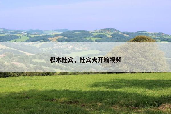 积木杜宾，杜宾犬开箱视频