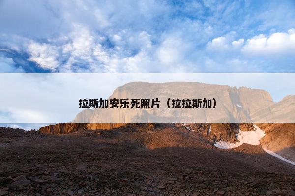 拉斯加安乐死照片（拉拉斯加）