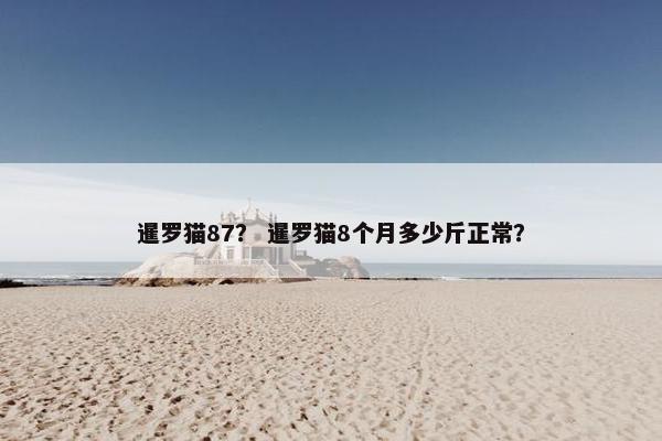 暹罗猫87？ 暹罗猫8个月多少斤正常？