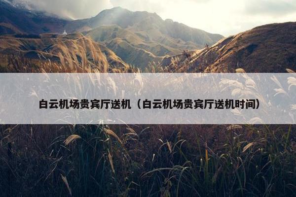 白云机场贵宾厅送机（白云机场贵宾厅送机时间）