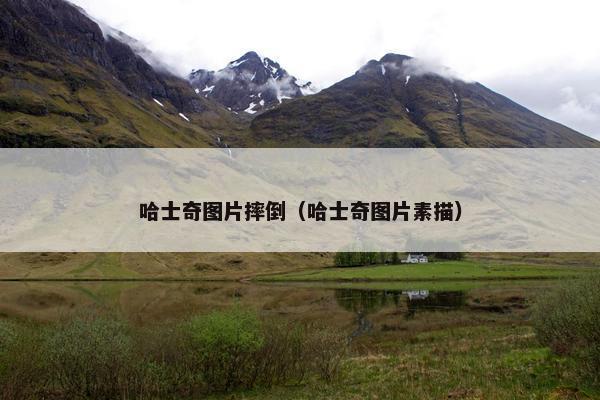 哈士奇图片摔倒（哈士奇图片素描）