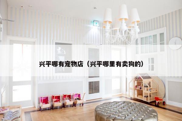 兴平哪有宠物店（兴平哪里有卖狗的）