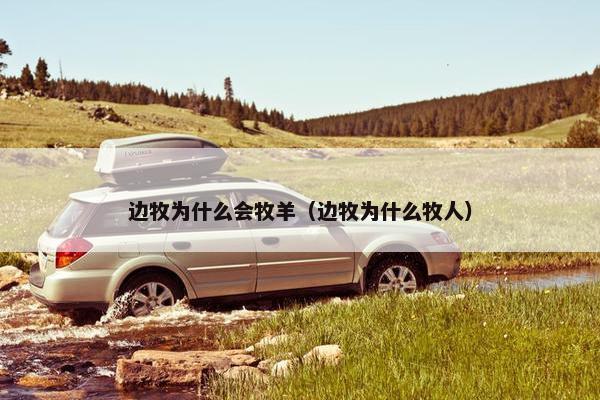 边牧为什么会牧羊(边牧为什么牧人) 边牧为什么会牧羊(边牧为什么牧人)