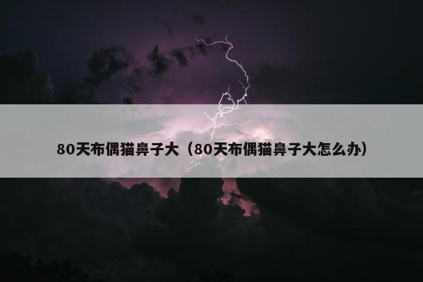 80天布偶猫鼻子大（80天布偶猫鼻子大怎么办）