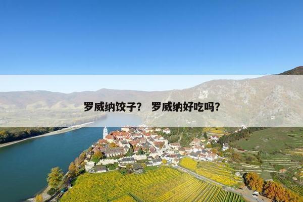 罗威纳饺子? 罗威纳好吃吗? 罗威纳饺子? 罗威纳好吃吗?