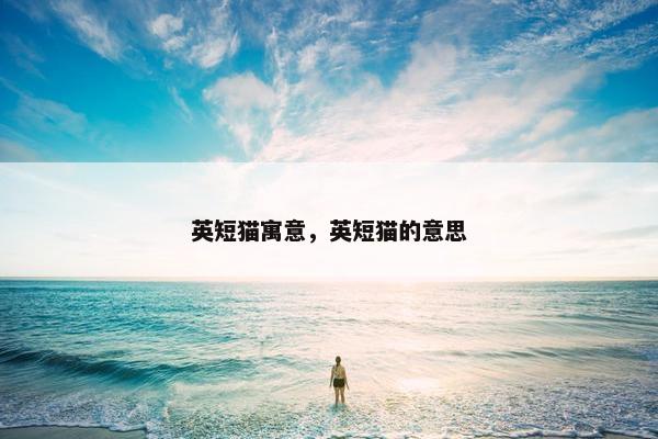 英短猫寓意，英短猫的意思