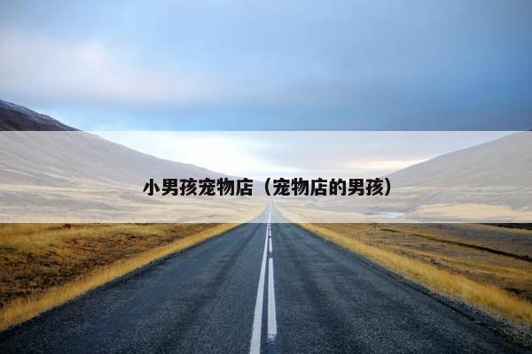 小男孩宠物店（宠物店的男孩）