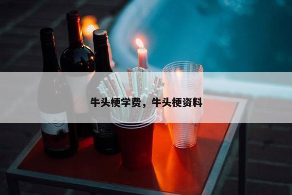 牛头梗学费，牛头梗资料